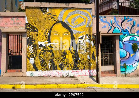 Peinture murale sur maison résidentielle sur Avenida Alemania, Cerro Alegre, Valparaiso, Chili, Amérique du Sud Banque D'Images