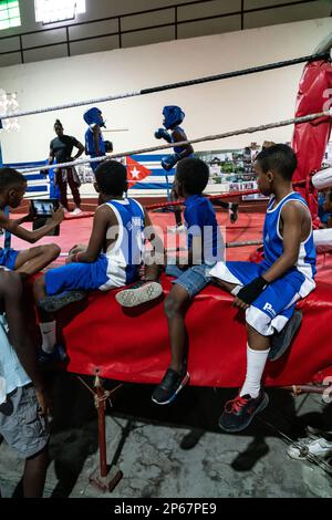 Jeunes boxeurs en formation, Boxe Academy Trejo, la Havane, Cuba, Antilles, Caraïbes, Amérique centrale Banque D'Images