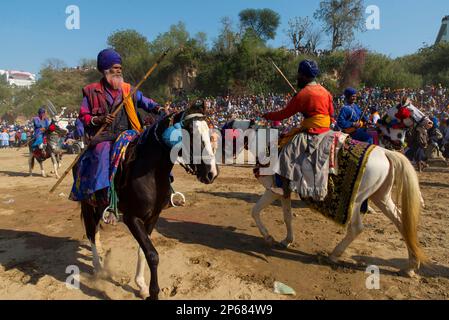 Les Sikhs font du cheval pour montrer leurs compétences pendant Hola Moholla à Anandpur Sahib Banque D'Images