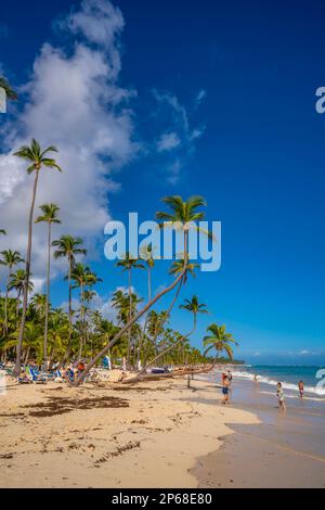 Vue sur la mer, la plage et les palmiers par une journée ensoleillée, Bavaro Beach, Punta Cana, République Dominicaine, Antilles, Caraïbes, Amérique centrale Banque D'Images