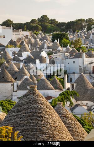 Vue sur les toits coniques en pierre des maisons traditionnelles de trulli dans la vieille ville, Alberobello, site classé au patrimoine mondial de l'UNESCO, Puglia, Italie, Europe Banque D'Images