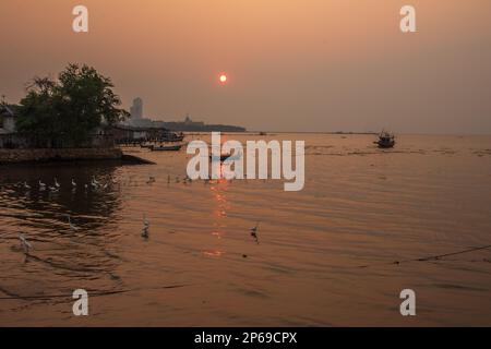 Coucher de soleil, hérons et bateaux de pêcheurs à Naklua Thaïlande Asie Banque D'Images