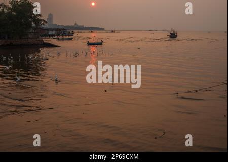 Coucher de soleil, hérons et bateaux de pêcheurs à Naklua Thaïlande Asie Banque D'Images