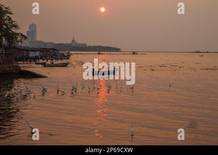 Coucher de soleil, hérons et bateaux de pêcheurs à Naklua Thaïlande Asie Banque D'Images