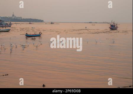 Coucher de soleil, hérons et bateaux de pêcheurs à Naklua Thaïlande Asie Banque D'Images