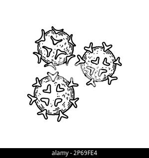 Lymphocytes globules blancs isolés sur fond blanc. Illustration de vecteur de microbiologie scientifique dessiné à la main dans un style d'esquisse Illustration de Vecteur