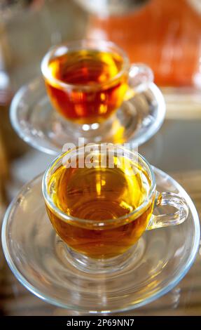 Dégustation de thé, Darjeeling, Inde Banque D'Images