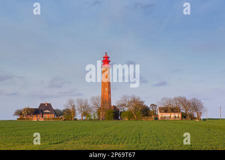 Flügge / Fluegge phare sur l'île de Fehmarn dans la mer Baltique, Ostholstein, Schleswig-Holstein, Allemagne Banque D'Images