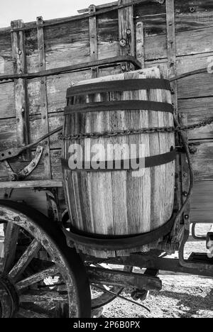 Wagon d'équipe de 20 mules conservé pour le transport de Borax Banque D'Images