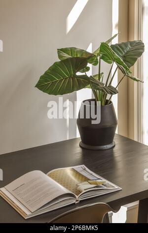 une plante dans un pot sur une table à côté d'un livre, et un magazine ouvert assis sur la table Banque D'Images