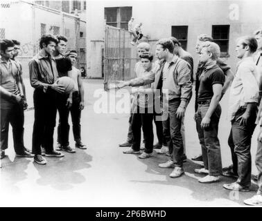 1961 , USA : les acteurs , danseurs et chanteurs George Chakhilis et Russ Tamblyn dans WEST SIDE STORY par Jerome Robbins et Robert Wise , partition musicale par Leonard Bernstein - CINÉMA - jeans - bande giovanili - gangs - MUSICAL - panier - pallacanestro - adolescents ---- Archivio GBB Banque D'Images