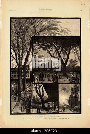 Julian Walbridge Rix, Elms on the Battery, 1885, gravure de bois sur papier. Banque D'Images