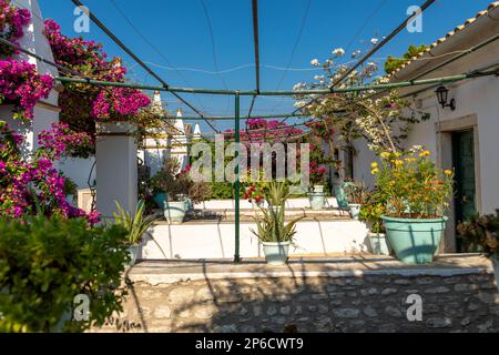 Jardin dans le monastère de Paleokastritsa sur l'île de Corfou, Grèce Banque D'Images