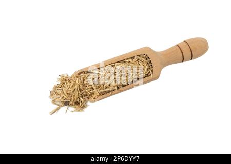 ginseng sibérien en latin Eleutherococcus senticosus dans une pelle en bois isolée sur fond blanc. Herbe médicinale. a une histoire d'utilisation dans le folklore an Banque D'Images