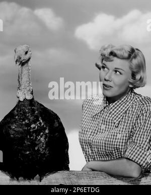 1952 CA : l'actrice et chanteuse DORIS DAY ( nom réel Doris Mary Ann Kappelhoff , née le 3 avril 1924 Cincinnati, Ohio, Etats-Unis ) dans un film pubblicity STILL - FILM - FILM - atrice cimatografica - blonde - bionda - quadretti - turquie - tacchino --- Archivio GBB Banque D'Images