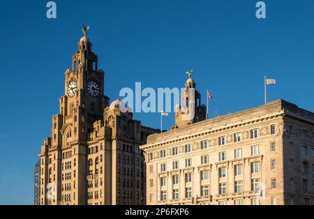 Le Royal Liver Building et le Cunard Building, deux des trois Grâces de Pier Head à Liverpool Banque D'Images