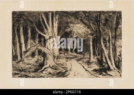 Carel Nicolaas Storm van's Gravesande, Forest Path, vers 1885, gravure, gravure en softground et point sec sur papier japonais. Banque D'Images