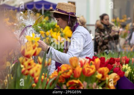 Moscou, Russie. 8th mars 2023. Un fleuriste recueille un bouquet à vendre sur un marché aux fleurs au centre commercial de Petrovsky passage, à la veille de la Journée internationale de la femme à Moscou, en Russie Banque D'Images