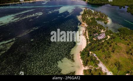 La photo capture une vue à couper le souffle d'une plage sereine avec des eaux cristallines et de douces vagues qui se délitent sur le rivage. Banque D'Images