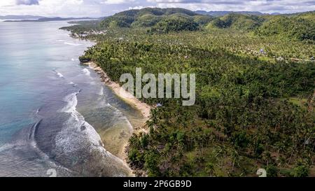 La photo capture une vue à couper le souffle d'une plage sereine avec des eaux cristallines et de douces vagues qui se délitent sur le rivage. Banque D'Images