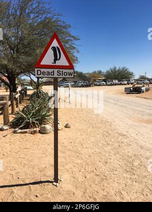 Panneau d'avertissement de l'écureuil, expositions, mort lente dans le désert à la ville de Solitaire. Désert du Namib, Namibie, Afrique Banque D'Images