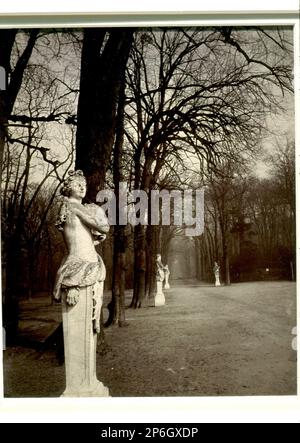 Jean Eugène Auguste Atget, Versailles, c. 1922, impression argentée sur papier imprimé. Banque D'Images