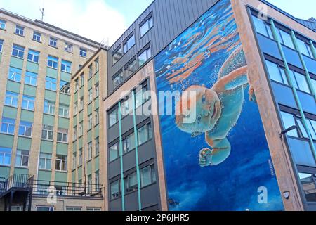 Artiste Paul Curtis, peinture de bébé Ethan, peinture murale de natation à Harrington St, Liverpool, Merseyside, Angleterre, Royaume-Uni, L2 9QF Banque D'Images