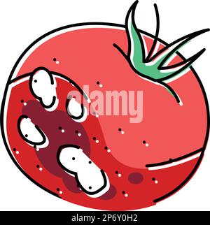 illustration vectorielle d'icône de couleur d'aliment pourri de tomate Illustration de Vecteur