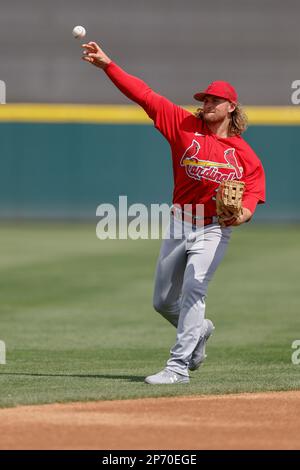 Lakeland FL USA ; St. Le second baseman de Louis Cardinals Brendan Donovan (33) jette la balle à la troisième base lors d'un match d'entraînement de printemps de la MLB contre le Banque D'Images