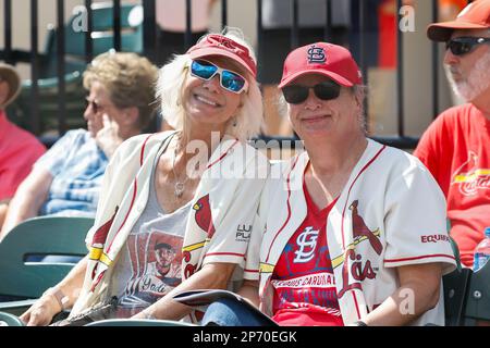 Lakeland FL USA ; St. Les fans de Louis Cardinals profitent d'une belle journée au stade de baseball lors d'un match d'entraînement de printemps de la MLB entre les Detroit Tigers et t Banque D'Images