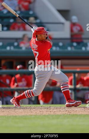 Lakeland FL USA ; St. Jeremy Rivas (97), invétéran de Louis Cardinals, atteint un single au centre du terrain lors d'un match d'entraînement de printemps de la MLB contre le T de Detroit Banque D'Images