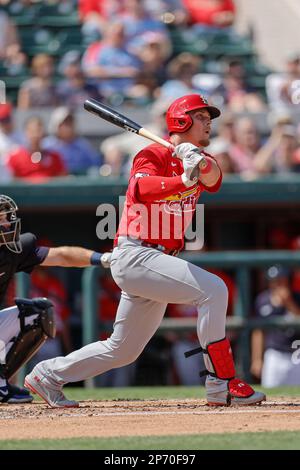 Lakeland FL USA ; St. Louis Cardinals second bassiste Nolan Gorman (16) se classe au sommet du second lors d'un match d'entraînement de printemps de la MLB contre le D Banque D'Images