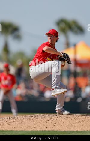 Lakeland FL USA ; St. Le pichet de secours de Louis Cardinals Packy Naughton (70) délivre un terrain lors d'un match d'entraînement de printemps de la MLB contre les Tigres de Detroit Banque D'Images