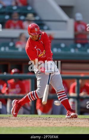 Lakeland FL USA ; St. Jeremy Rivas (97), invétéran de Louis Cardinals, atteint un single au centre du terrain lors d'un match d'entraînement de printemps de la MLB contre le T de Detroit Banque D'Images