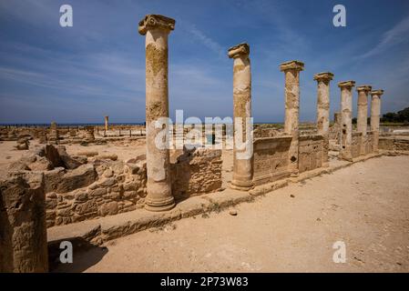 Maison de Theseus, Parc archéologique de Paphos, Chypre. Banque D'Images