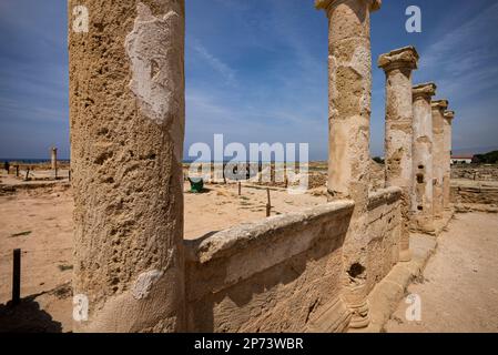 Maison de Theseus, Parc archéologique de Paphos, Chypre. Banque D'Images