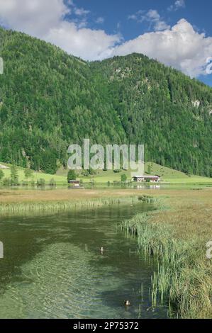 Lac Pillersee Tirol, Autriche Banque D'Images