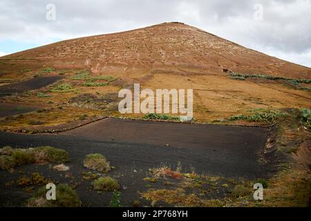 Champ couvert de cendres de picon volcaniques pour retenir l'humidité et empêcher l'érosion du sol pour l'agriculture sur les pentes d'un volcan Lanzarote, îles Canaries, Banque D'Images