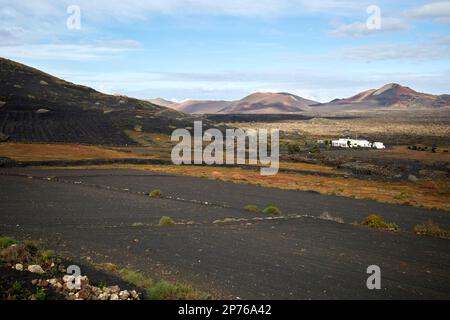 picon champs couverts et ferme dans la région de vinification de la geria reculée paysage avec des volcans en arrière-plan Lanzarote, îles Canaries, Espagne Banque D'Images