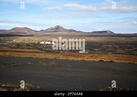 picon champs couverts et ferme dans la région de vinification de la geria reculée paysage avec des volcans en arrière-plan Lanzarote, îles Canaries, Espagne Banque D'Images