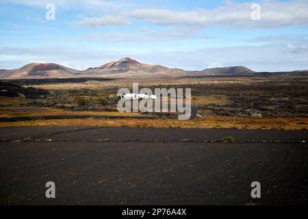 picon champs couverts et ferme dans la région de vinification de la geria reculée paysage avec des volcans en arrière-plan Lanzarote, îles Canaries, Espagne Banque D'Images