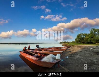 Paysage de Heilongjiang en été Banque D'Images