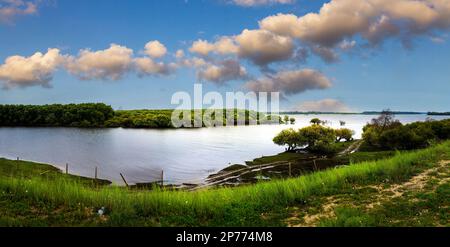 Paysage de Heilongjiang en été Banque D'Images