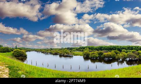 Paysage de Heilongjiang en été Banque D'Images