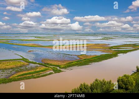 Paysage aérien de la rivière songhua en été Banque D'Images