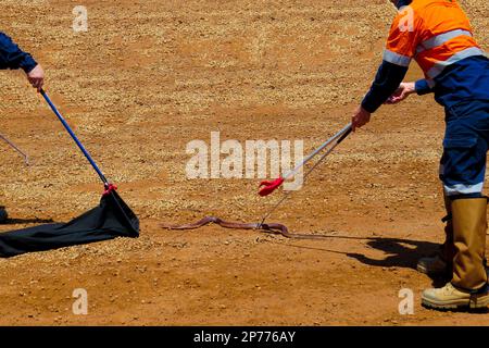 Traitement des serpents dans l'Outback Banque D'Images