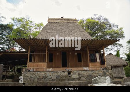 Le village traditionnel de Bena sur Flores, en particulier la maison principale du village avec toit de chaume, en arrière-plan la forêt tropicale. Banque D'Images