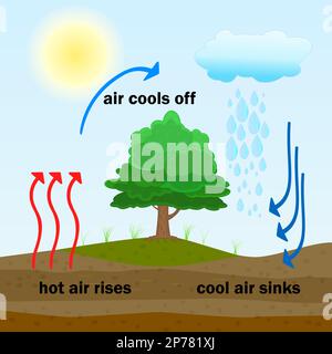 Diagramme du processus de convection. L'air chaud monte et l'air frais s'écoule. Masses d'air chaud et froid. Circulation d'air chaud et froid thermique. Illustration vectorielle Illustration de Vecteur