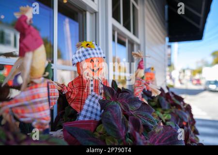 10 04 2022, Stonington, Maine, Etats-Unis : poupées et décoration de Thanksgiving à Stonington, Maine Banque D'Images