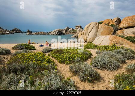 Rochers de granit et plage de sable, Tafoni, îles Lavezzi, Iles Lavezzi, Bonifacio, Corse-du-Sud, Corse, Mer méditerranée, France Banque D'Images